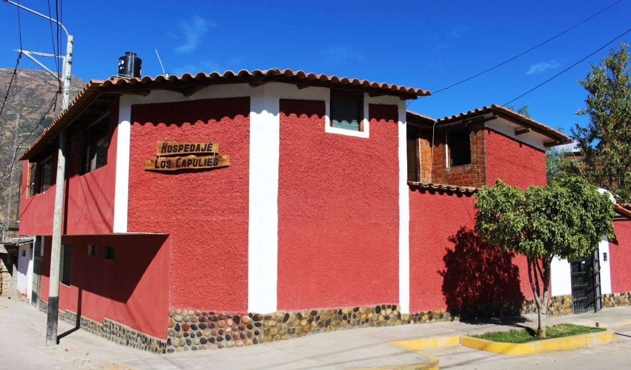 Casa Hospedaje"Los Capulies" Carhuaz エクステリア 写真